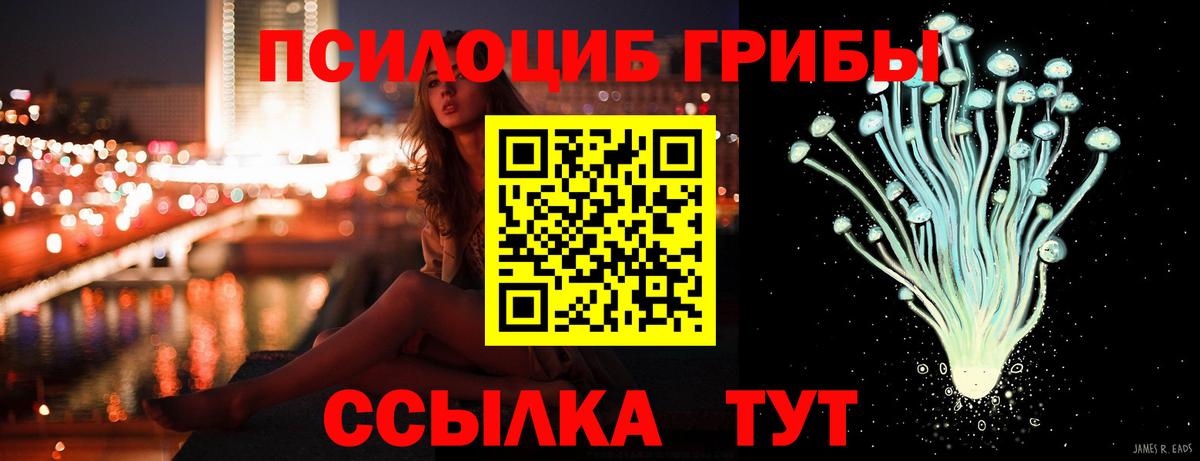 Сунжа  Галлюциногенные грибы GOLDEN TEACHER  Вход с VPN 