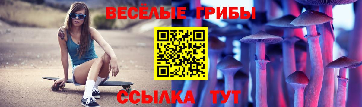 Псилоцибиновые грибы Cubensis Сунжа
